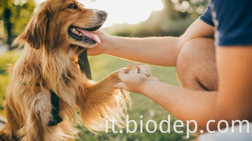 man-with-his-dog